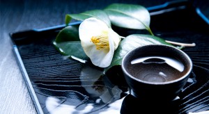 party_img004